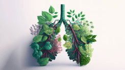 Рак легень: від діагностики до лікування – погляд онкохірурга