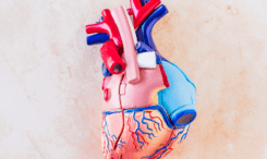 ЕКГ-діагностика інфаркту міокарда: основні ознаки