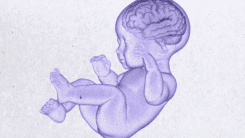 Гіпоксичне ураження ЦНС новонароджених: роль УЗД та інтенсивної терапії